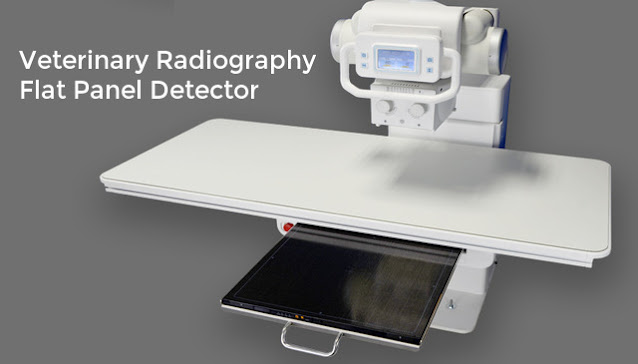 Veterinary Radiography Flat Panel Detector