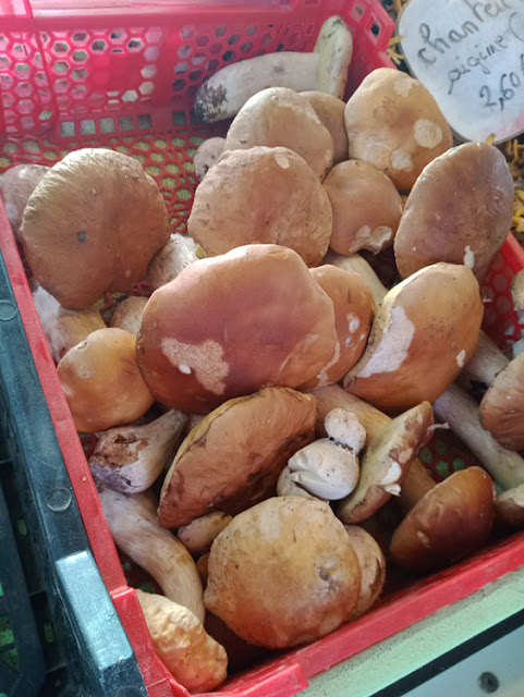 Edible Ceps at a market, Vienne, France. Photo by Loire Valley Time Travel.