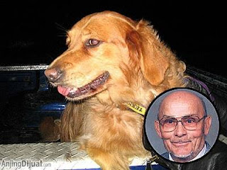 loperartikel.blogspot.com - Kisah Kesetian Anjing yang Menguras Air Mata