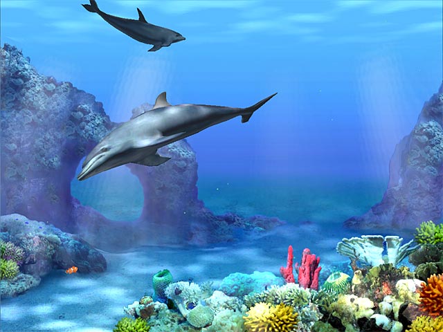 3D Dolphin Screensaver Free Download