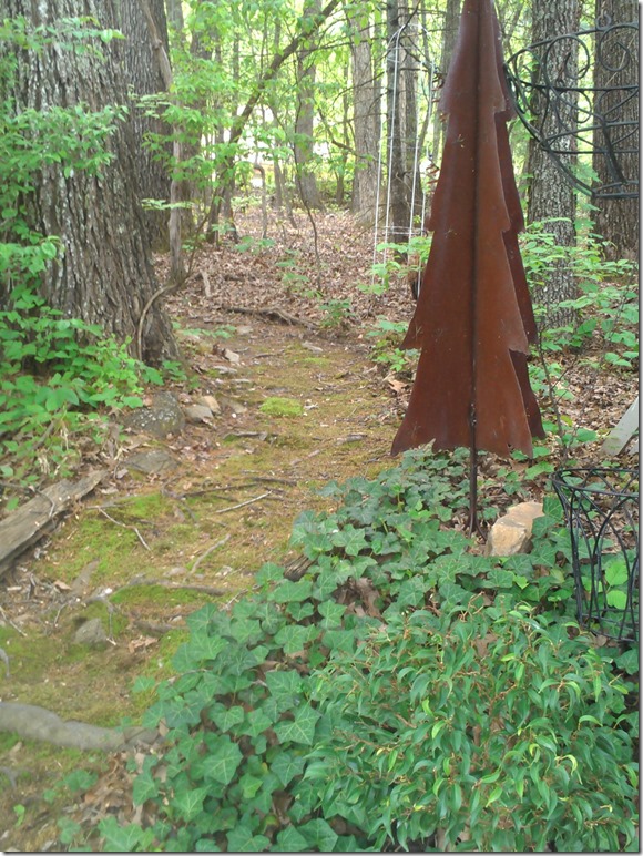 trails 2013