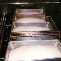 adonan roti dan loyang