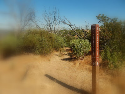 Senderismo rural con información adecuada de la ruta