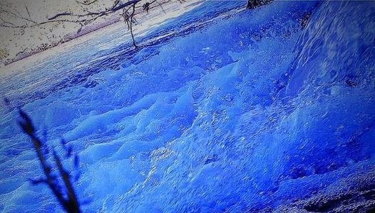 على جسر الحقيقة قبالة شطآن الوهم