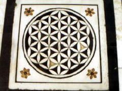 Flower of Life, India