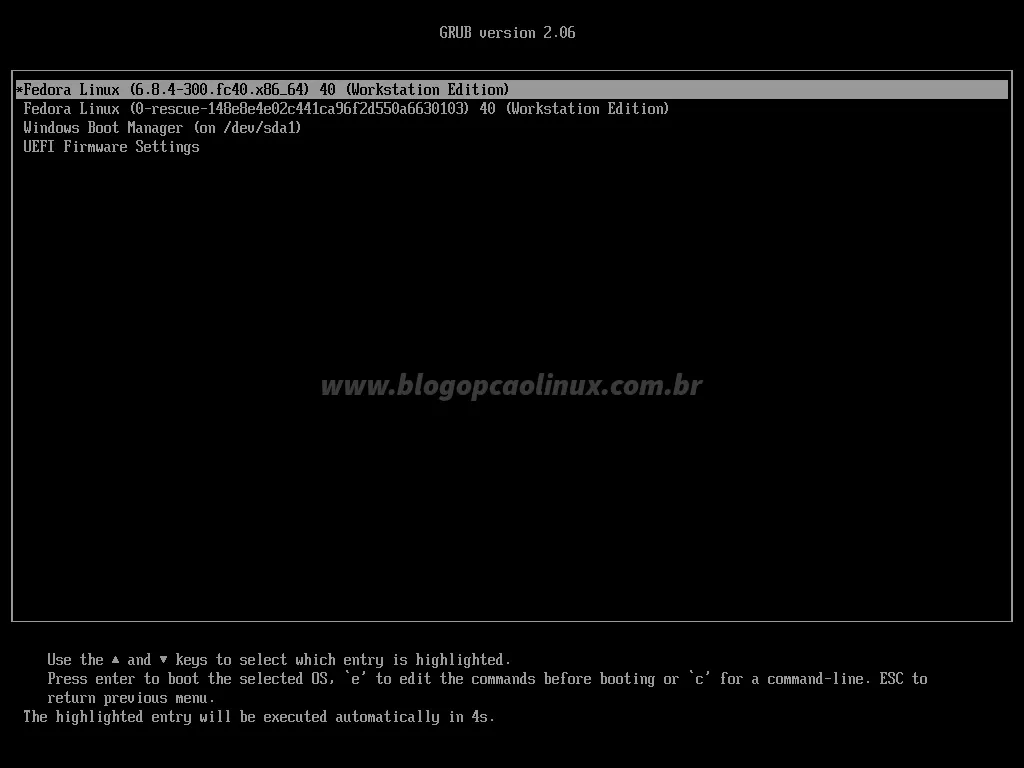Tela do GRUB exibindo o Fedora 40 recém-instalado e o Windows