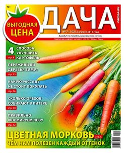 Читать онлайн журнал Дача (№7 2018) или скачать журнал бесплатно