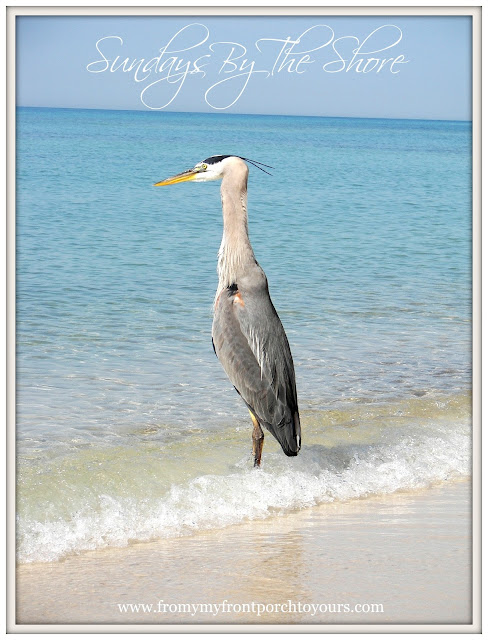 Sundays By The Shore-From My Front Porch To Yours