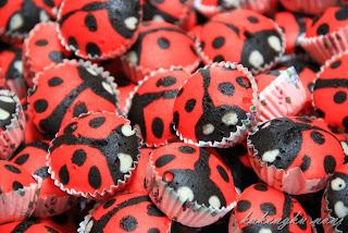 Apam warna warni: Apam Ladybird & Warna warni