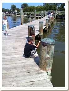 more crabbing