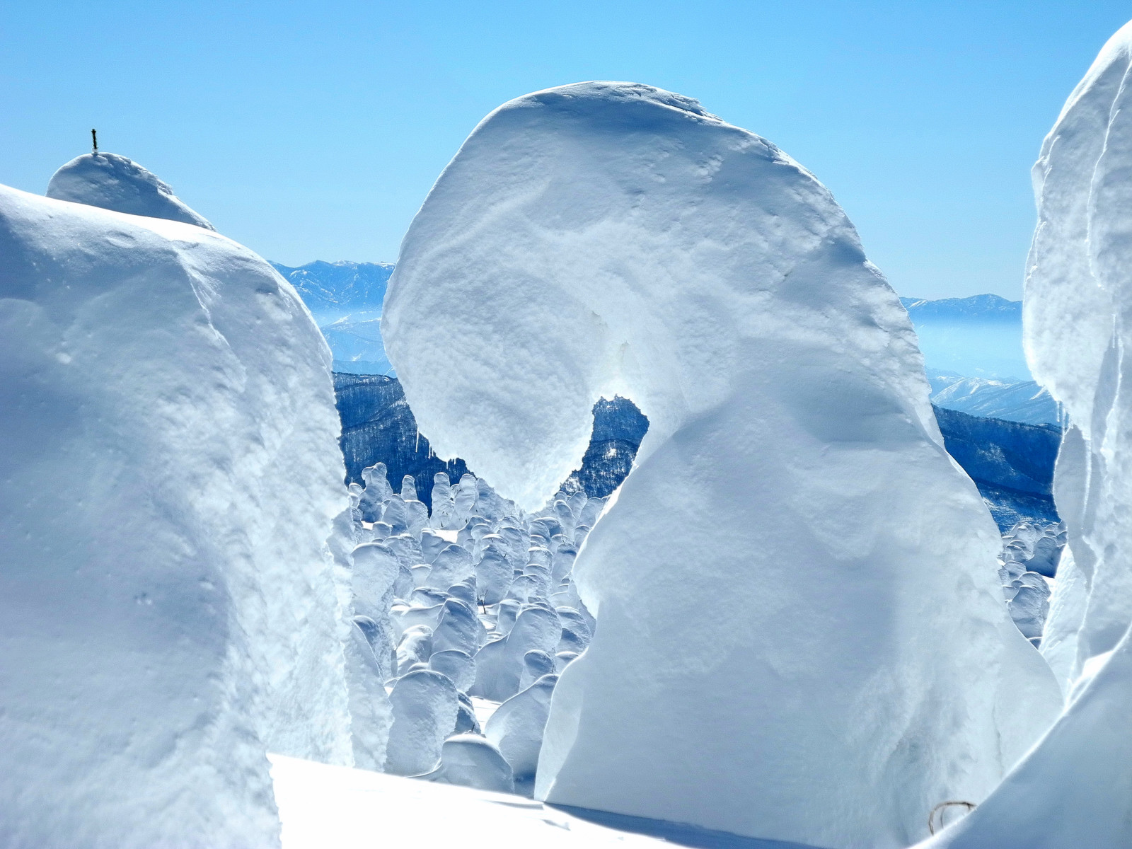 樹氷を見に行こう ちえ散歩