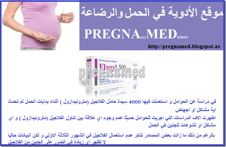 فلاجيل بالحمل