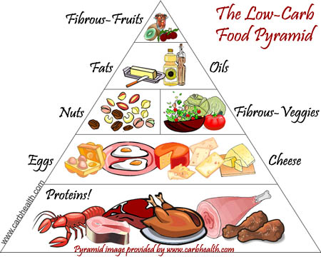 food pyramid for children. dresses Food Chain Pyramid For