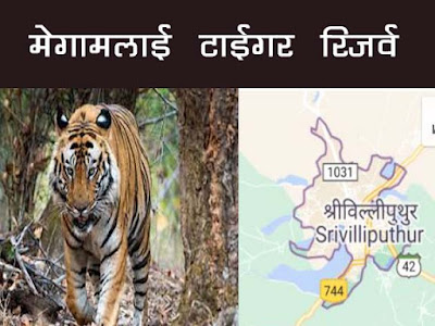 श्रीविल्लीपुथुर-मेगामलाई टाइगर रिज़र्व | Srivilliputhu -Megamalai Tiger Reserve