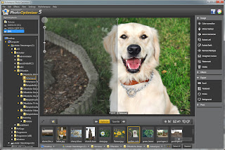 Ashampoo Photo Optimizer 5 v5.0.2 Full With Patch