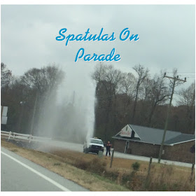 Funny Friday picture challenge, one picture 5 captions. | Picture by Dawn of Spatulas on Parade | www.BakingInATornado.com | #humor #funny