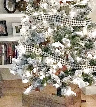 christmas tree in a crate