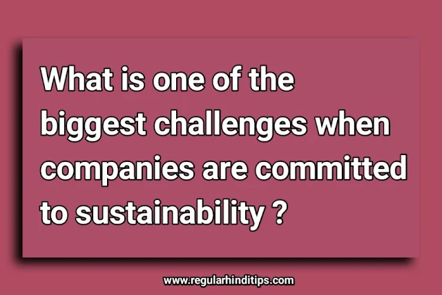 what is one of the biggest challenges when companies are committed to sustainability