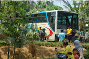 Senggol Bus Hingga Nyungsep, Sopir Truk Muatan Kayu Kabur