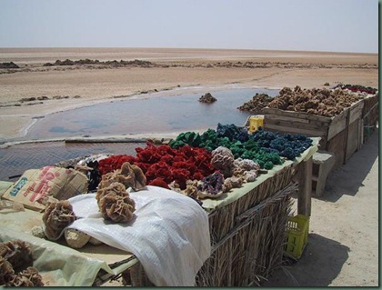 chott_el_jerid01