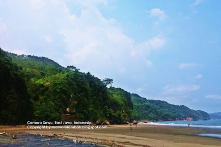 Menyibak Pesona Pantai Cemara Sewu dan Fenomena Danau Cinta