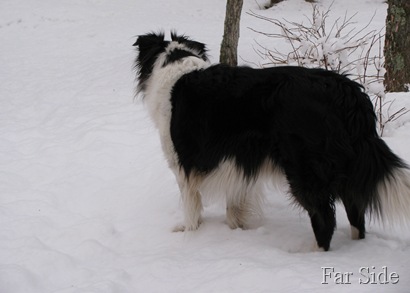 Chance April 01 snow