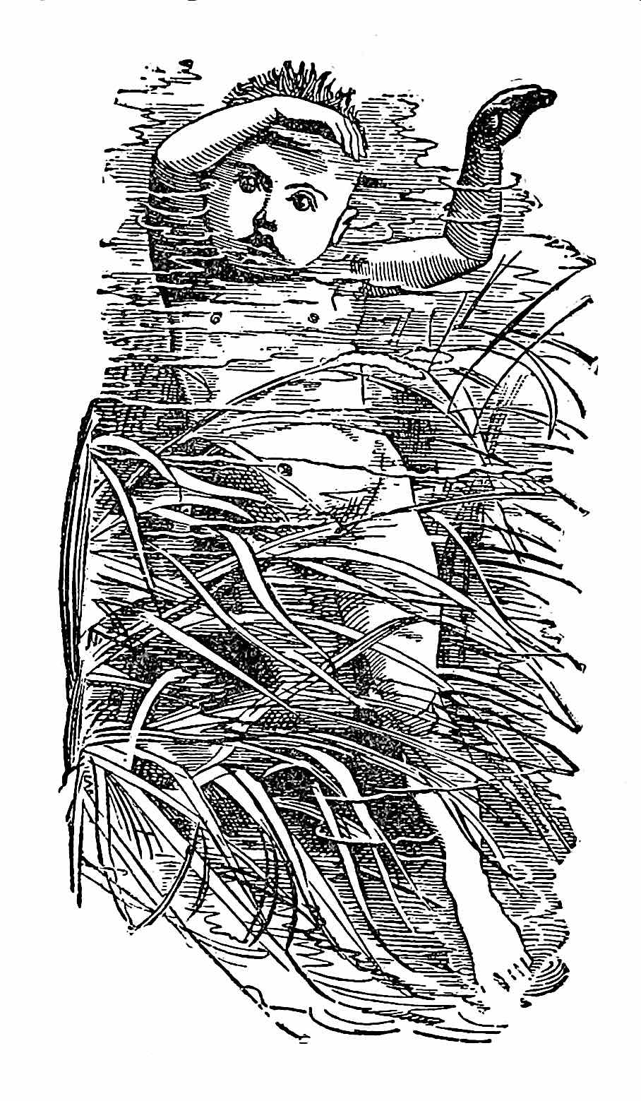 a Linley Sambourne 1880s children's book illustration of a baby underwater in a marsh wetland pond