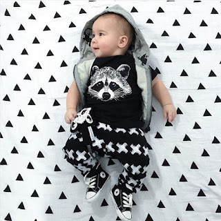 T-shirt with raccoon - it's fashionable! Baby boys t-shirt and long pants.