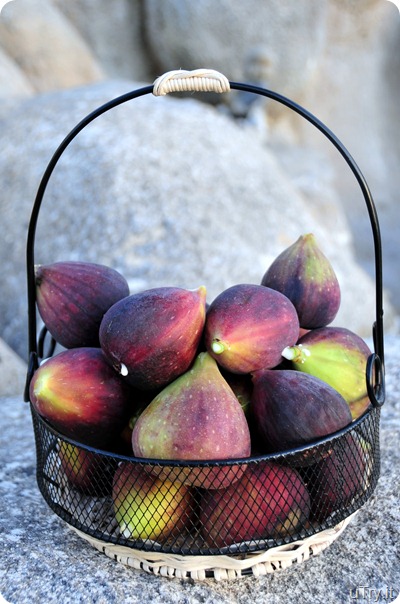 Fresh Figs