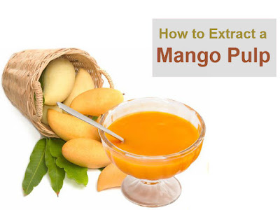 Extract Mango Pulp