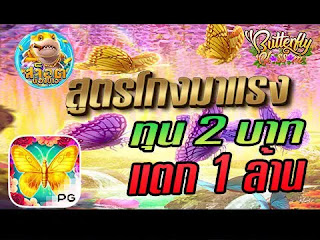 เว็บสล็อต24