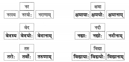 Abhyasvan Bhav Class 9 Solutions Chapter 6 कारकोपपदविभक्तिः