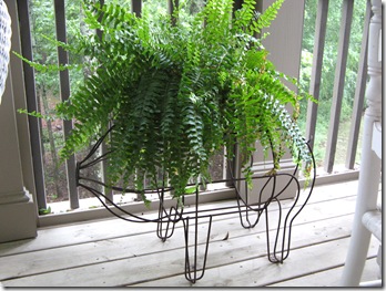 porch 021