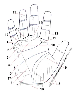 18 secondary lines on hand Palm Reading Lines, Guide & Chart For Beginners