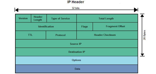 IP Header Details