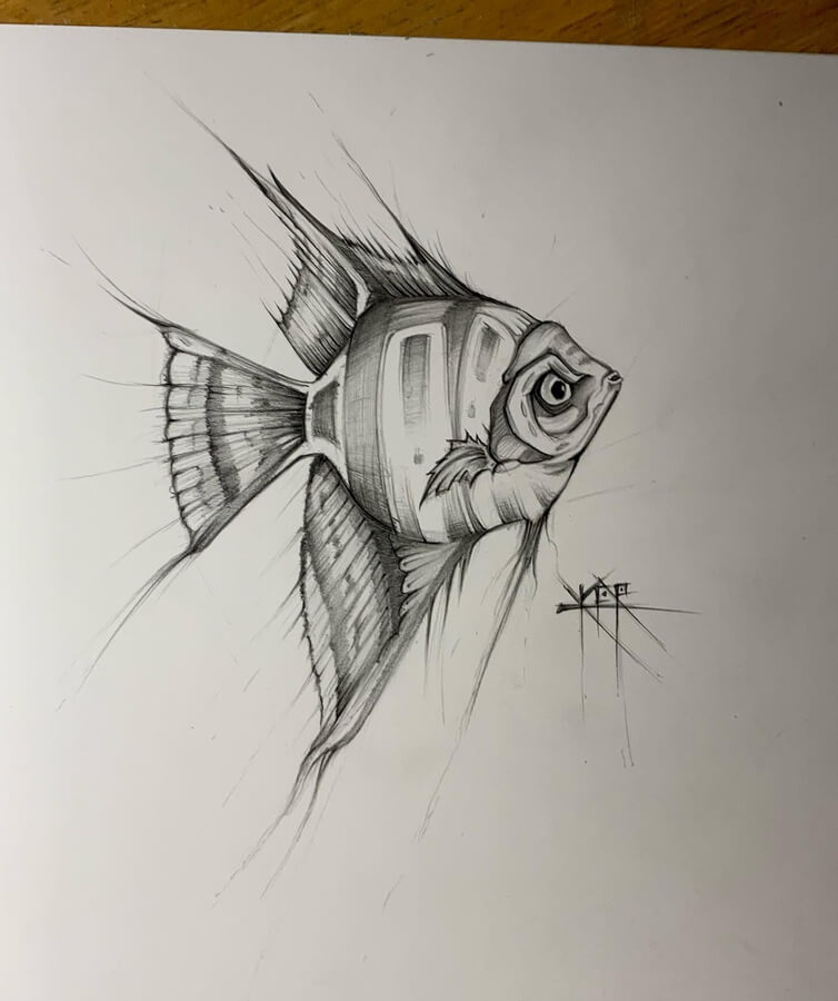 03-Fish-Casey-Ryder-www-designstack-co