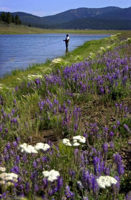 Huntington Lake, California: Huntington Lake, California: