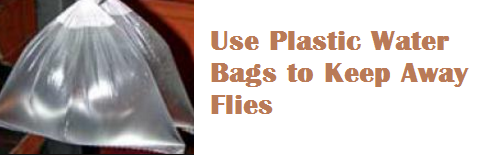Use Plastic Water Bags to Keep Away Flies