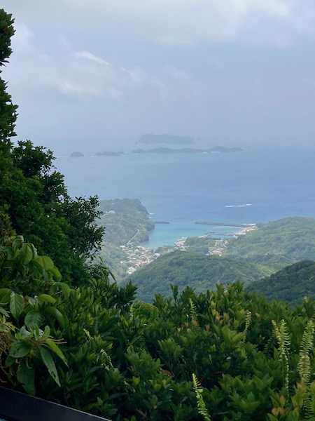 乳房山山頂から見た沖港の街と島々