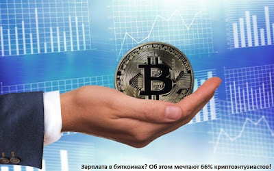 Зарплата в биткоинах? Об этом мечтают 66% криптоэнтузиастов!