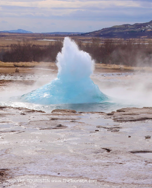 A low grey cloudy sky over a blue in colour erupting fountain of a geyser in a geothermal area.