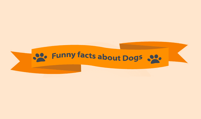 Funny Facts About Dogs