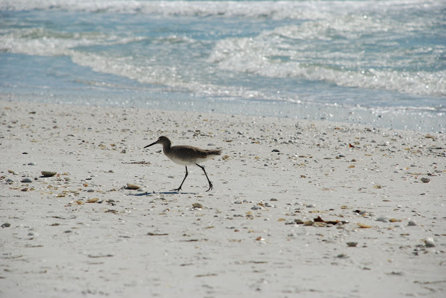 Marco Island