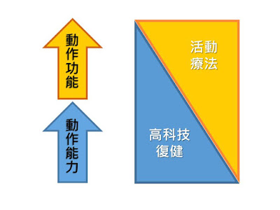 增進動作功能+動作能力