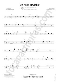  Violonchelo y Fagot Partitura de Un Niño Andaluz Sheet Music for Cello and Bassoon Music Scores