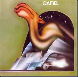 camel