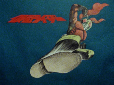 Kamen Rider (1979) (Skyrider)