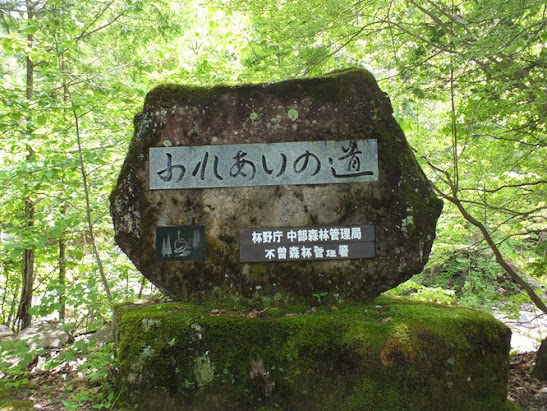 赤沢自然休養林