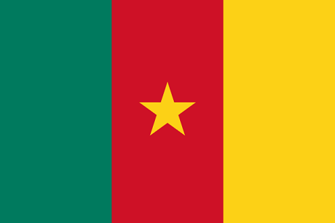 Skuad Pemain Kamerun