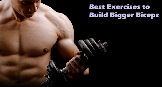 workout for bigger biceps